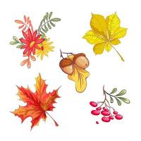 Set of autumn natural elements vector