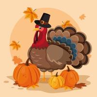 turkey with pumpkins and hat pilgrim of thanksgiving day vector