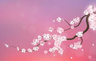 Realistic sakura japan cherry branch vector