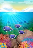 Fish swimming under the ocean in coral reef vector