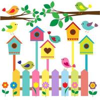 Collection of colorful birds and birdhouses vector