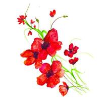 Hermoso AcuarelaRosa y Arreglo Floral Rojo vector