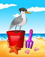 Seagull standing on red bucket at beach vector