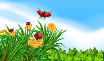 Scene with ladybugs flying in the garden vector