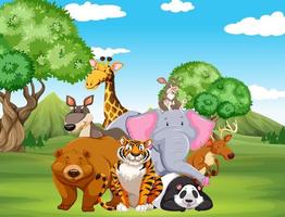 Wild animals on the field vector