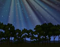 Nature scene with moonbeams shining on forest at night vector