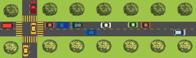 Top view scene with cars on the road vector