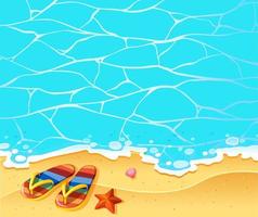 Scene with sandals on the beach vector