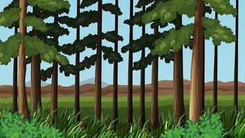 Forest scene with trees in front of field  vector