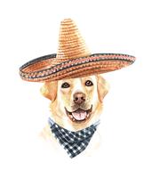 Watercolor Labrador Retriever with Mexican hat and Scarf.