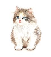 Hand drawn portrait of watercolor cat sitting