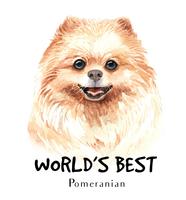 Watercolor hand drawn portrait of Pomeranian dog