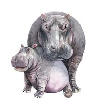 Watercolor Mom and Baby Hippo vector