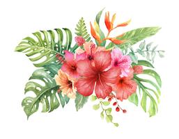 Watercolor Hibiscus bouquet Elements. vector