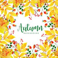  Autumn Leaves Background vector