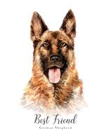 Watercolor portrait of a German shepherd Dog vector