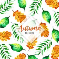 Hermoso fondo de hojas de otoño acuarela vector