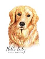 Retrato de acuarela de perro Golden Retriever vector