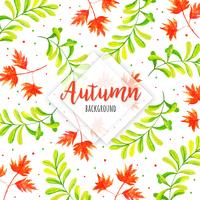 Beautiful Watercolor Autumn Leaves Background vector