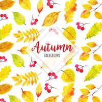 Beautiful Watercolor Autumn Leaves Background vector