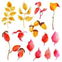 Beautiful Watercolor Autumn Leaves Collection vector