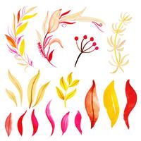 Beautiful Watercolor Autumn Leaves Collection vector