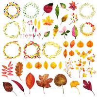 Beautiful Watercolor Autumn Elements Collection vector