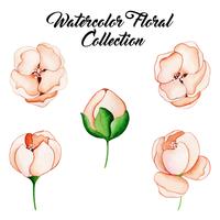 Watercolor Floral Collection vector