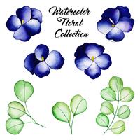 Watercolor Floral Collection vector