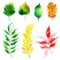Colección de hojas de otoño vector