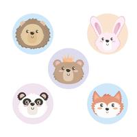 Conjunto de caras de animales bebés vector