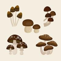 Different Types of Mushrooms Set vector