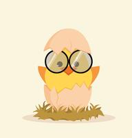 Cute chick in egg vector