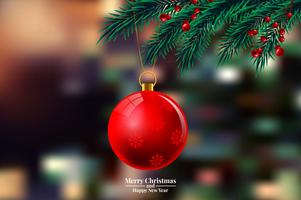Christmas tree branches with ornament  vector