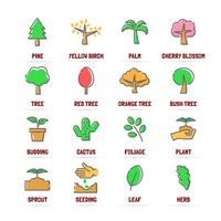 tree vector line icons with flat colors