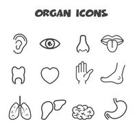 organ icons symbol