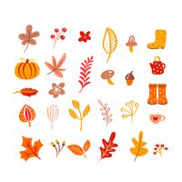 Autumn elements. Mushroom, acorn, maple leaves and pumpkin isolated on white background vector