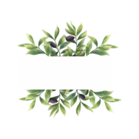 watercolor style olive leaf frame with space for text