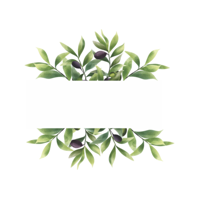 watercolor style olive leaf frame with space for text