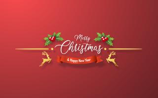 Christmas Decoration on red background vector