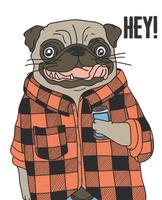 Hand drawn cool pug dog wearing flannel and holding drink illustration