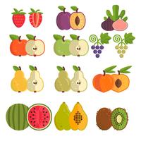 Collection of different fruits vector