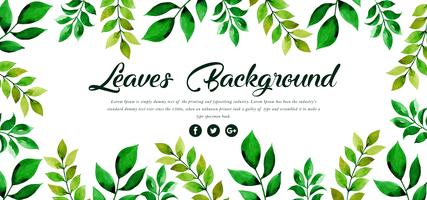 Green Leaves Background vector