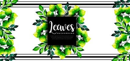 Framed Leaves Background vector