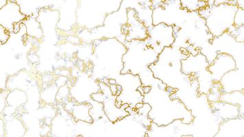 White marble background with gold texture vector