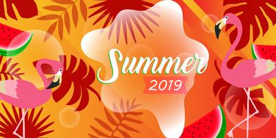 Summer card template  vector