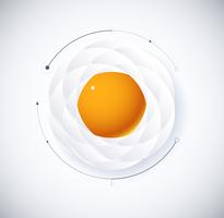 infographic diagram of Fried Egg  vector