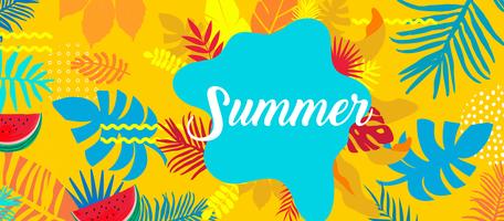 Summer card template  vector