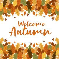 Welcome Autumn Floral Leaves Background With Nuts vector