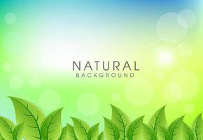 Natural background with Green leaves background vector